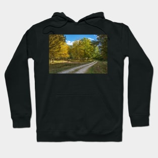 Road through forest Hoodie